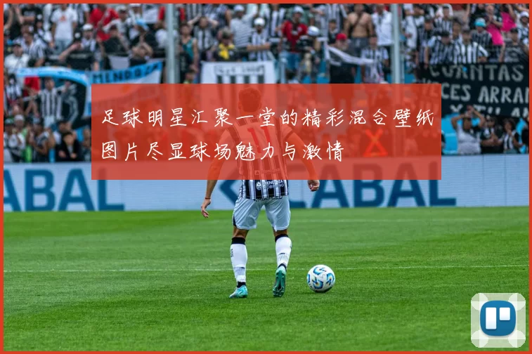 足球明星汇聚一堂的精彩混合壁纸图片尽显球场魅力与激情