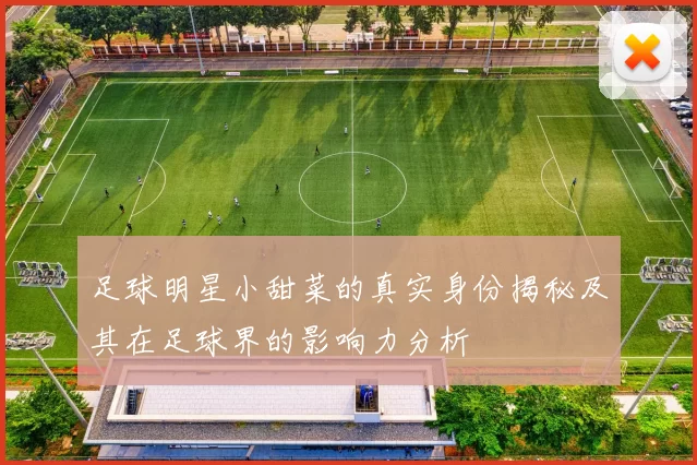 足球明星小甜菜的真实身份揭秘及其在足球界的影响力分析