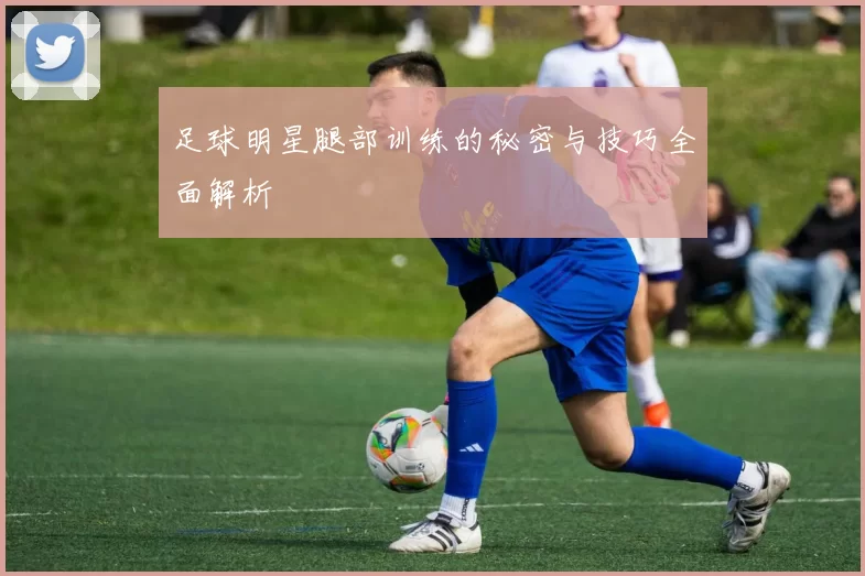 足球明星腿部训练的秘密与技巧全面解析