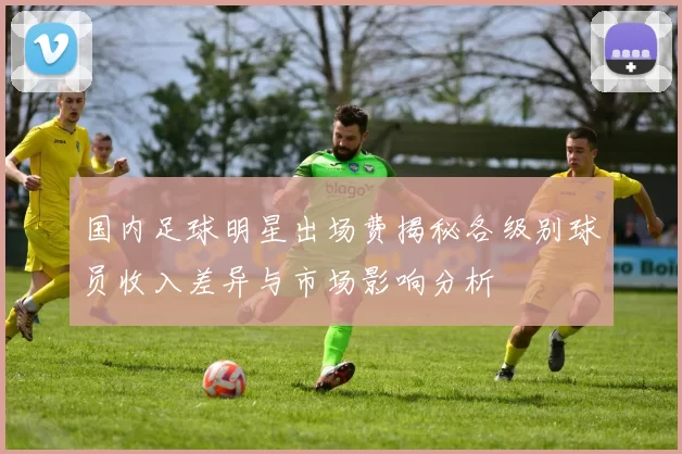国内足球明星出场费揭秘各级别球员收入差异与市场影响分析
