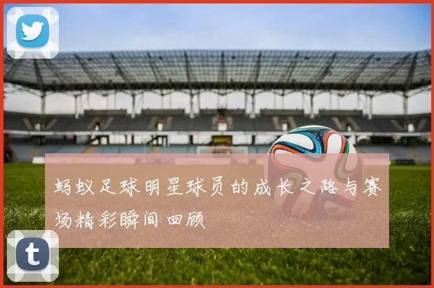 蚂蚁足球明星球员的成长之路与赛场精彩瞬间回顾