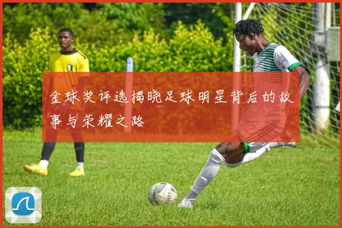 金球奖评选揭晓足球明星背后的故事与荣耀之路