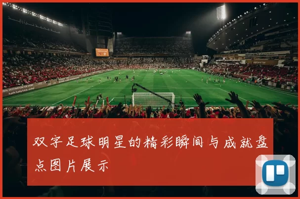双字足球明星的精彩瞬间与成就盘点图片展示