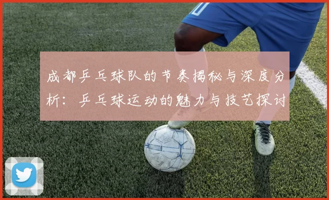 成都乒乓球队的节奏揭秘与深度分析：乒乓球运动的魅力与技艺探讨
