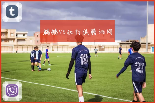 鹈鹕vs独行侠腾讯网