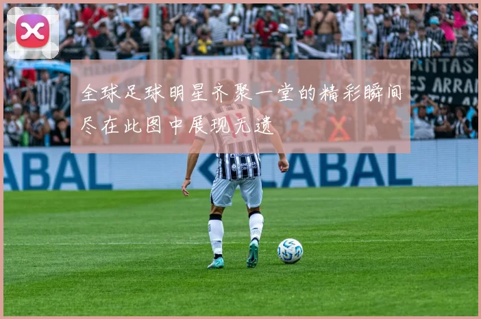 全球足球明星齐聚一堂的精彩瞬间尽在此图中展现无遗