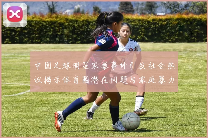 中国足球明星家暴事件引发社会热议揭示体育圈潜在问题与家庭暴力的严重性